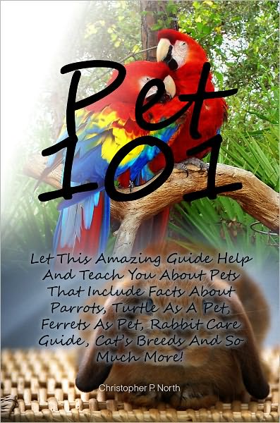 Pet 101: Let This Amazing Guide Help And Teach You About Pets That Include Facts About Parrots, Turtle As A Pet, Ferrets As Pet, Rabbit Care Guide, Cat’s Breeds And So Much More!