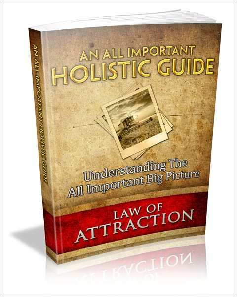 An All Important Holistic Guide: Understanding The All Important Big Picture! (Brand New)