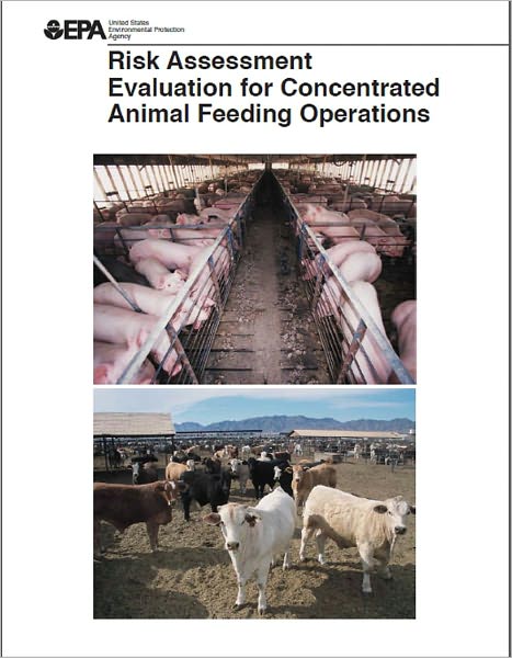 Risk Assessment Evaluation for Concentrated Animal Feeding Operations