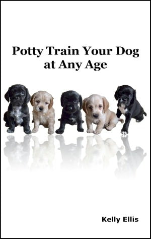 Potty Train Your Dog at Any Age