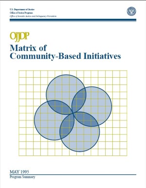 Matrix of Community-Based Initiatives