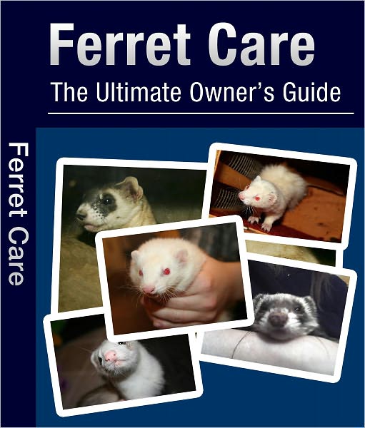 Ferrets