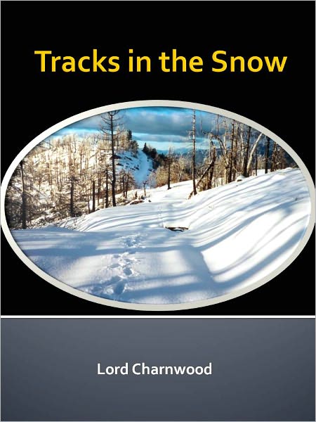 Tracks in the Snow w/ Direct link technology (A Mystery Classic)