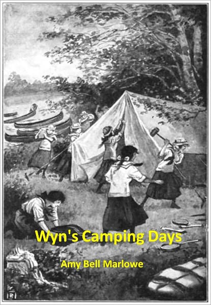 Wyn's Camping Days w/ Direct link technology (A Mystery Thriller)