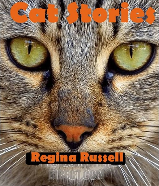 Cat Stories