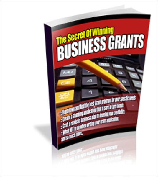 The Secret of Winning Business Grants