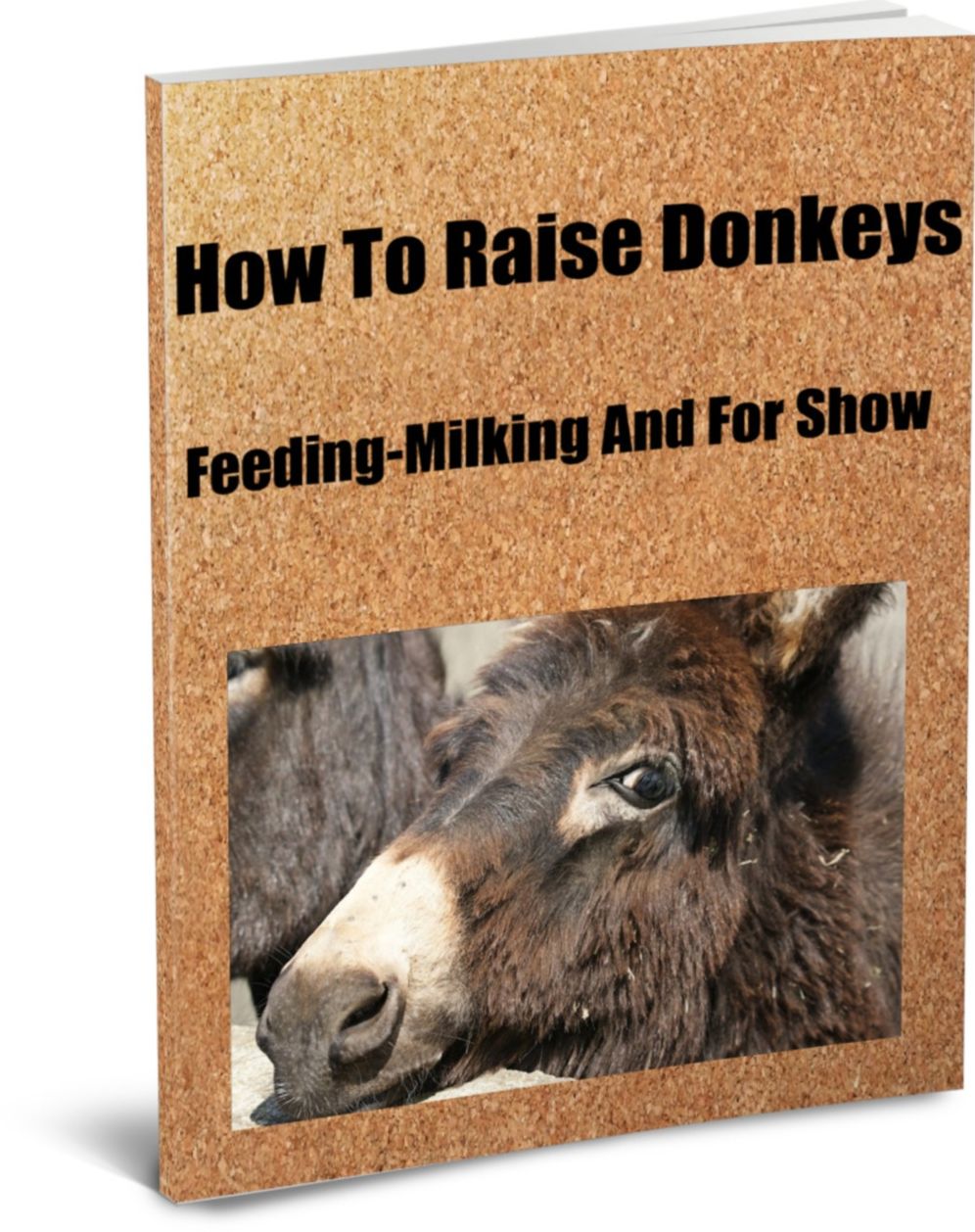 How To Raise Donkeys-Feeding-Milking And For Show