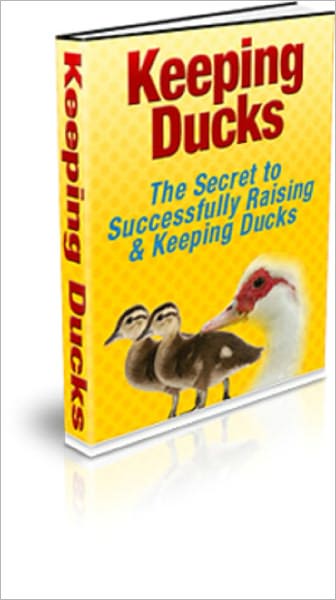 Keeping Ducks (The Secret to Successfully Raising & Keeping Ducks)