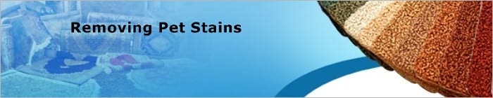 Removing Pet Stains