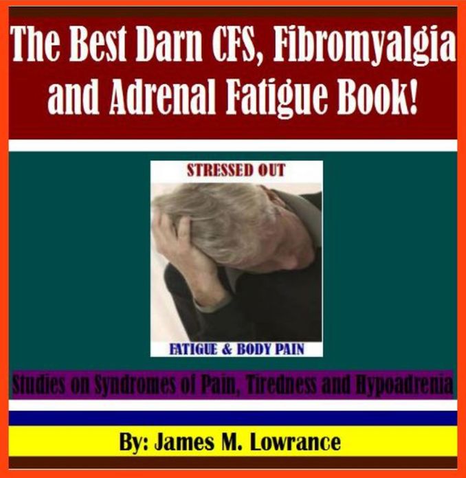 The Best Darn CFS, Fibromyalgia and Adrenal Fatigue eBook!