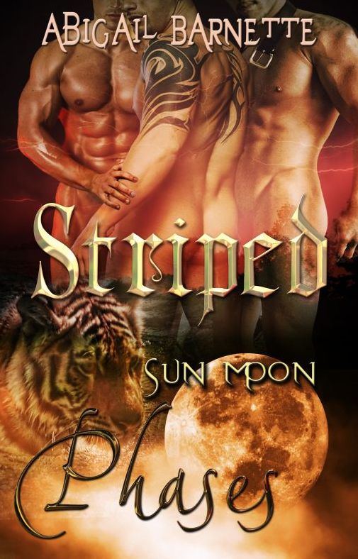 Striped [Gay Erotic Romance Phases Series]
