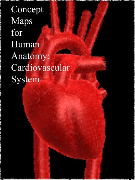 Concept Maps for Human Anatomy: Cardiovascular System