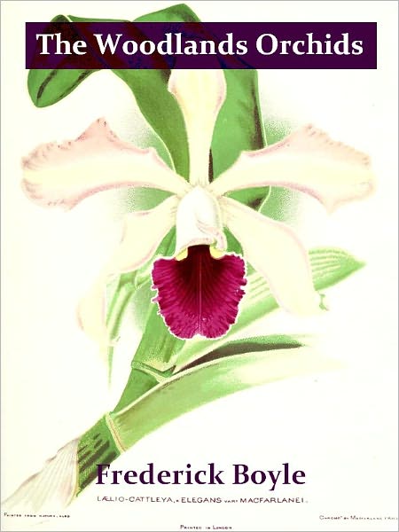 The Woodlands Orchids Described and Illustrated with Stories of Orchid-collecting [Illustrated]