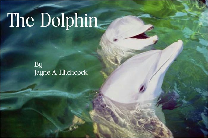 The Dolphin