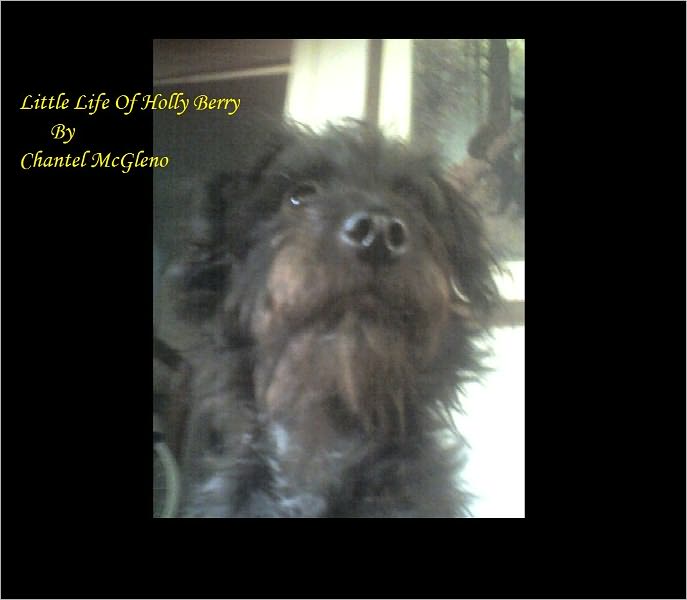Little Life of Holly Berry