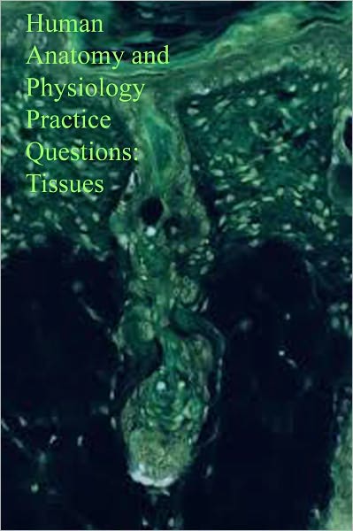 Human Anatomy and Physiology Practice Questions: Tissues