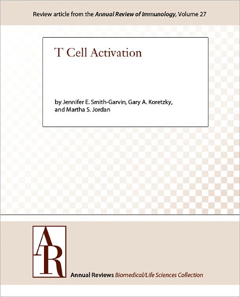 T Cell Activation