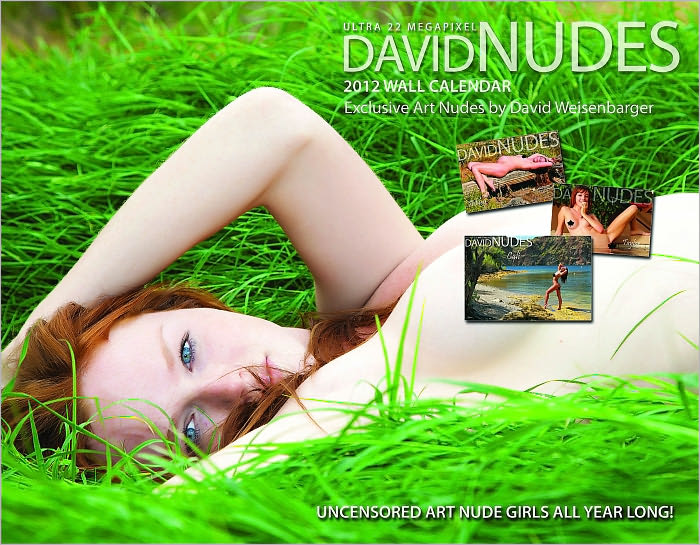 2012 David Nudes Art Nude Calendar Enhanced Edition #1