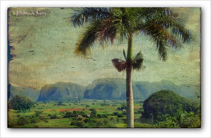 The Pearl of the Antilles, or An Artist in Cuba (Illustrated)