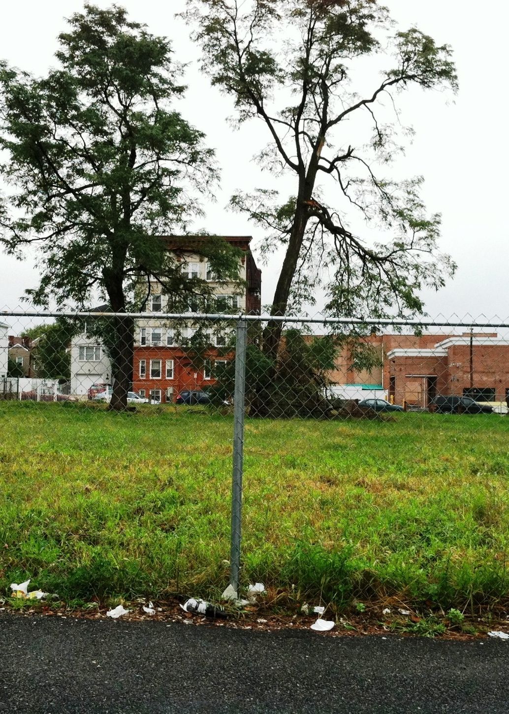 In the Shadows of the Oaks An Urban Tale