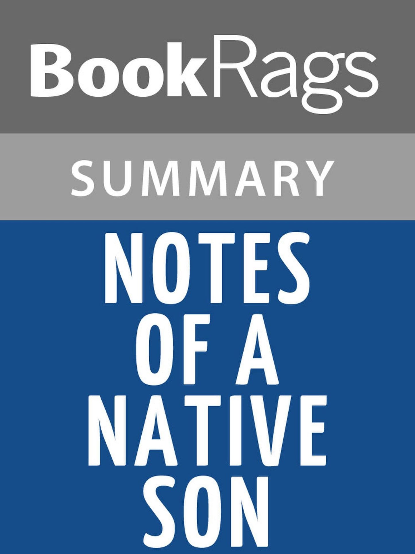 Notes Of A Native Son by James Baldwin Summary & Study Guide
