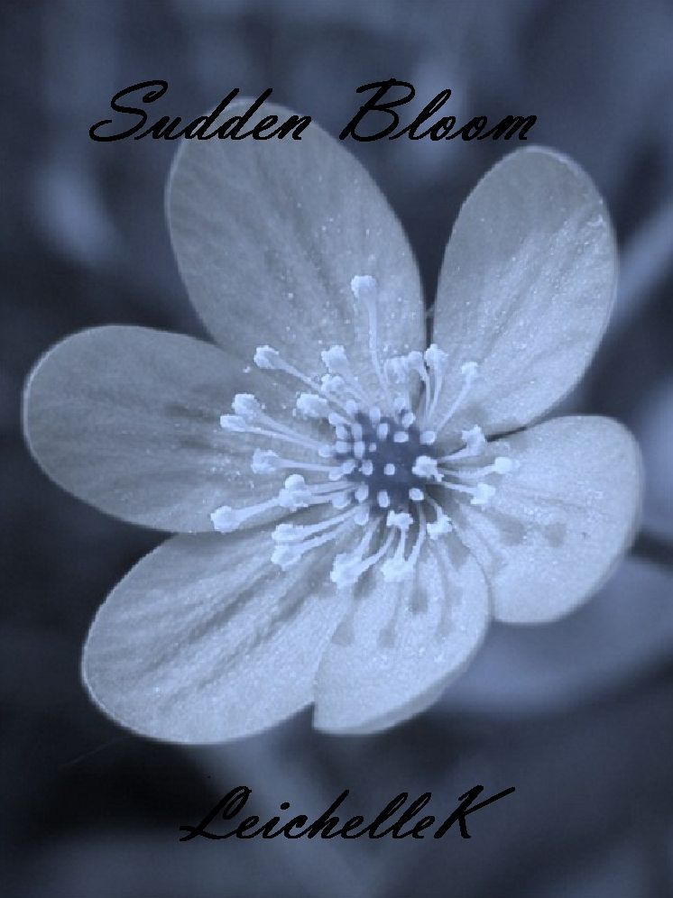 Sudden Bloom