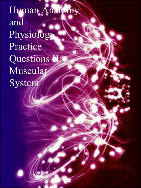 Human Anatomy and Physiology Practice Questions II: Muscular System