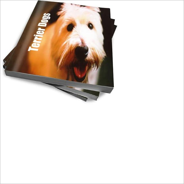 Terriers: Which Breed Is Right For You?