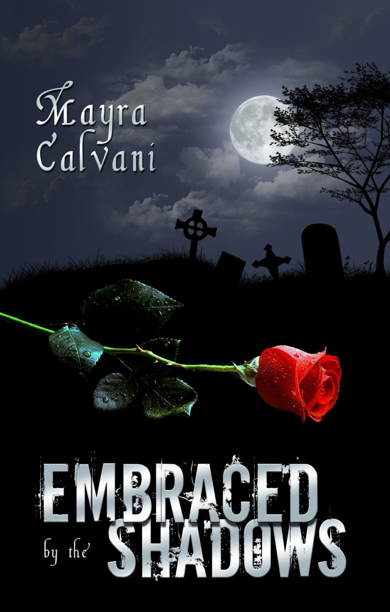 Embraced by the Shadows