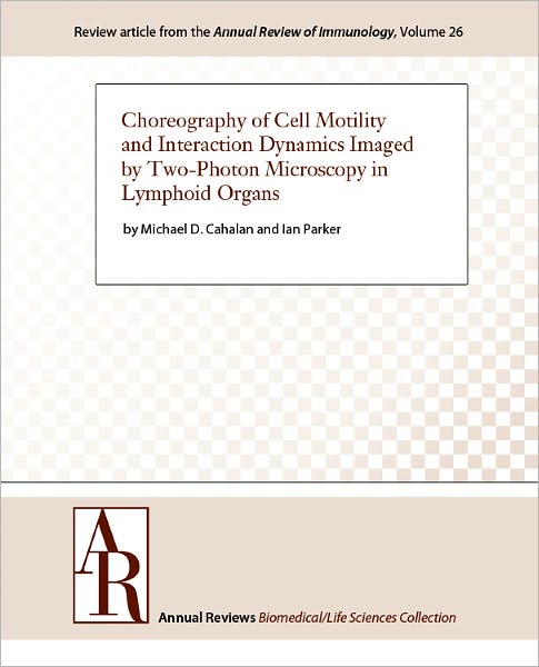 Choreography of Cell Motility and Interaction Dynamics Imaged by Two-Photon Microscopy in Lymphoid Organs