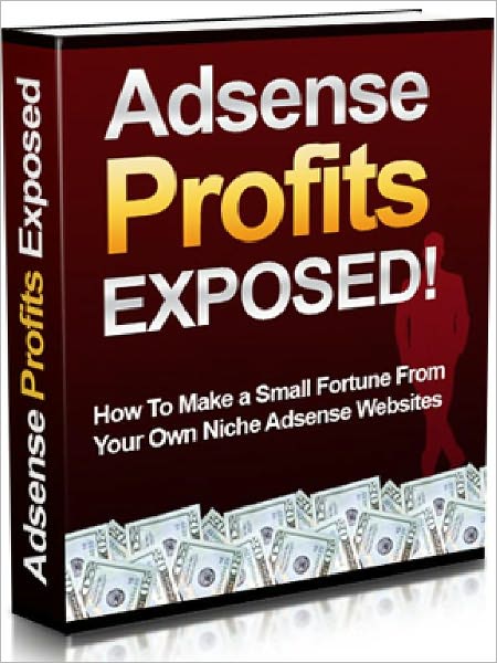 Adsense Profits Exposed - How to Make a Small Fortune From Your Own Niche Adsence Websites AAA+++ (Brand New)