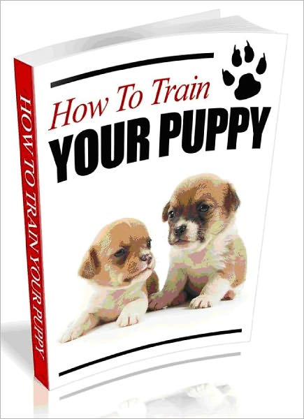 How to Train Your Puppy