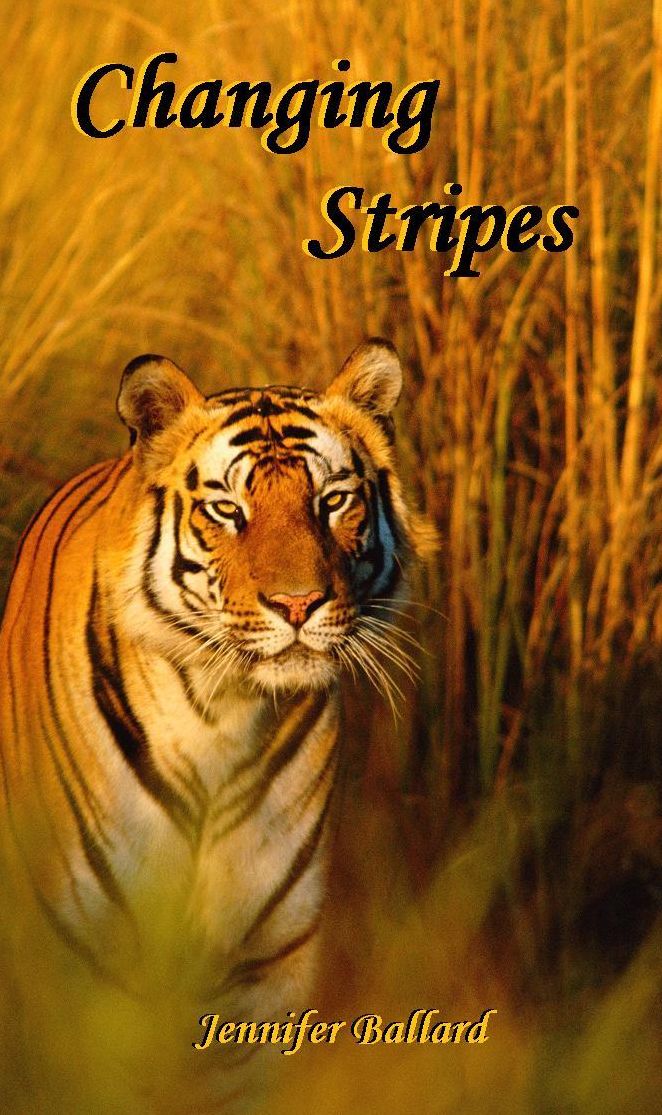 Changing Stripes