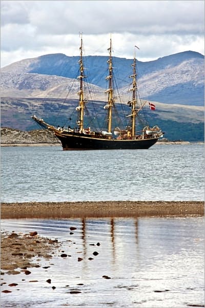 The Danish History, Books I-IX (Illustrated)