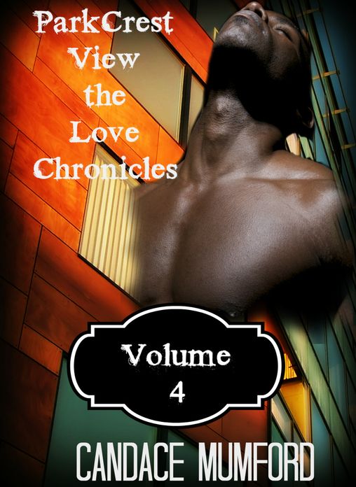 ParkCrest View - The Love Chronicles Volume 4