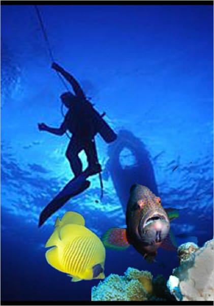 Beginners Guide to Scuba Diving