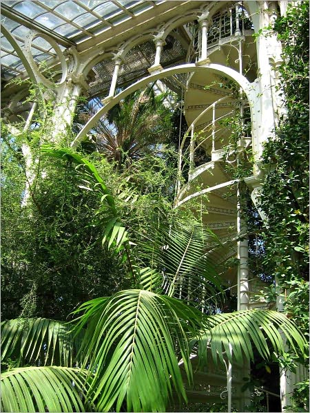 How to Build Your Own Greenhouse: The Art of Building Greenhouse the Right Way