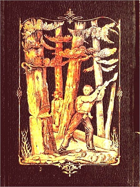 Forest Life and Forest Trees [Illustrated]