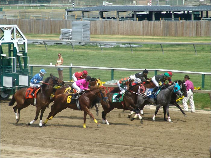 Discover the Secret of Winning Sports Betting: The Guide in Sports Betting System to Win