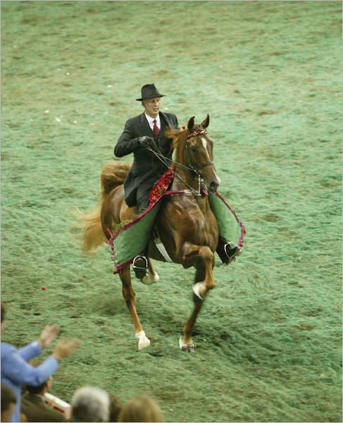 Five Gaits