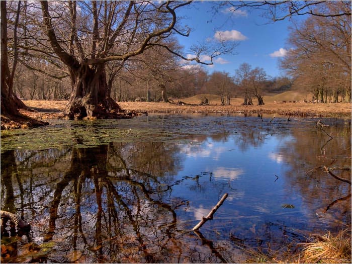 How to Live for Something Eternal and Reduce the Attachment to Temporal Things