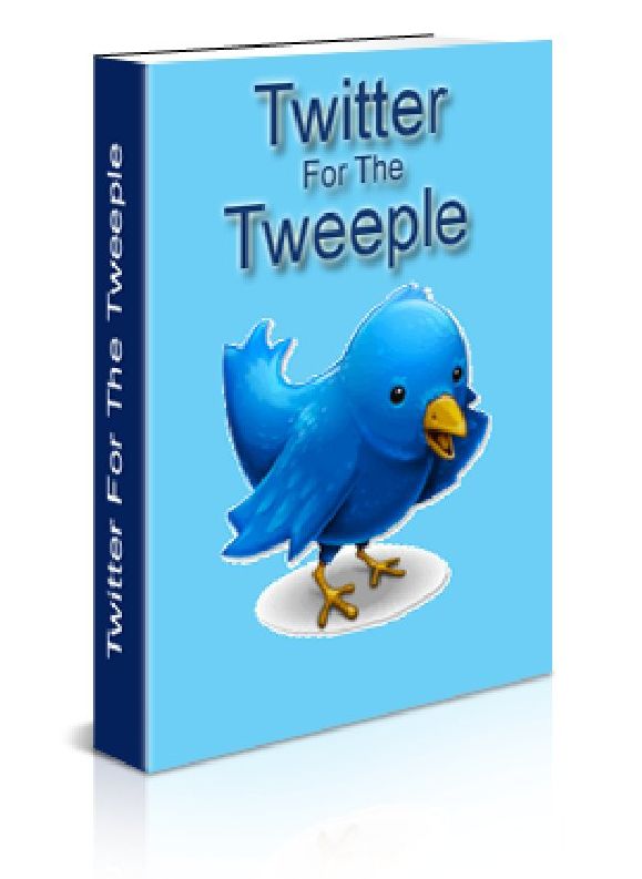 Twitter For The Tweeple - How To Set Up Twitter Account