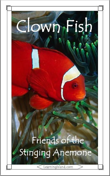 Clown Fish: Friends of the Stinging Anemone