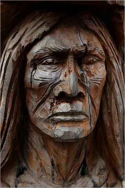 The American Indian as Participant in the Civil War (Illustrated)
