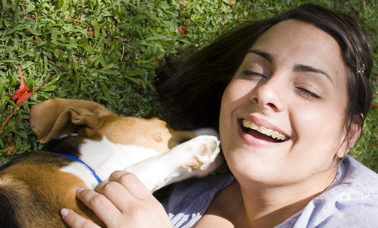 PICKING A PET DOG FOR YOUR CHILD OR FAMILY