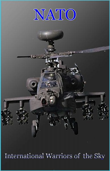 NATO Part 1: International Warriors of the Sky