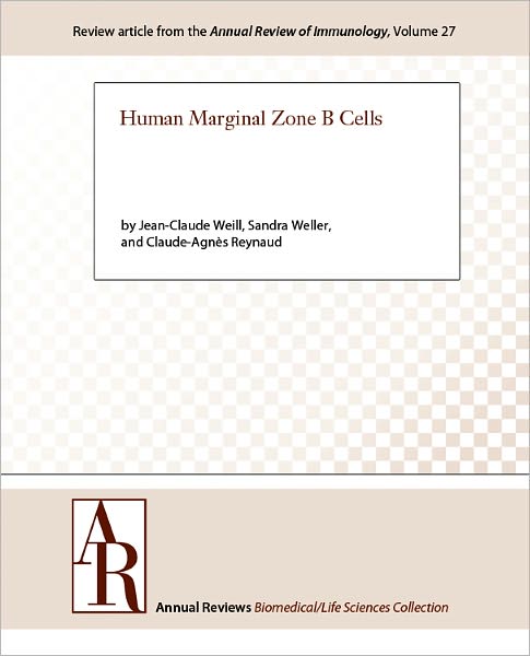 Human Marginal Zone B Cells