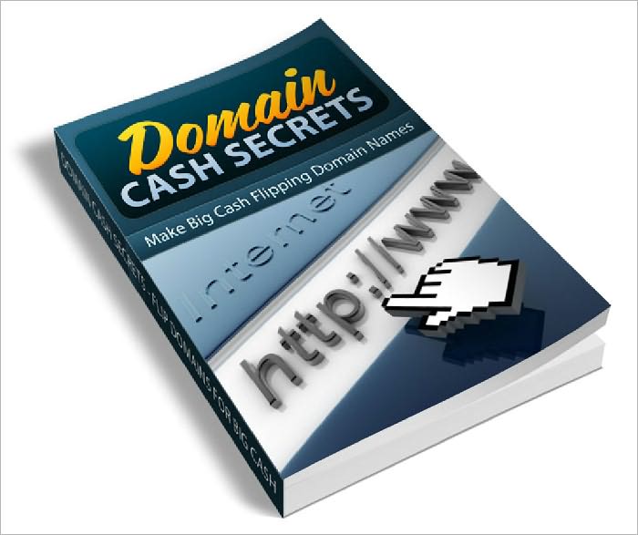 Domain Cash Secrets Domain Flipping
