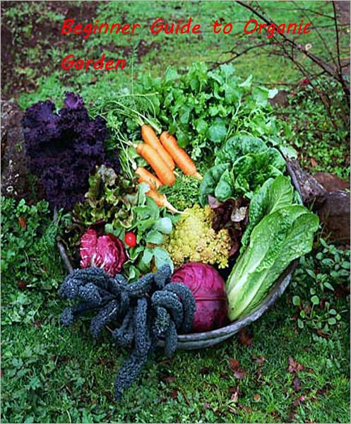 Beginner Guide to Organic Gardening --Growing your organic vegetables