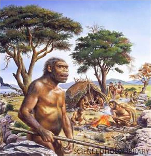 The Genesis Project